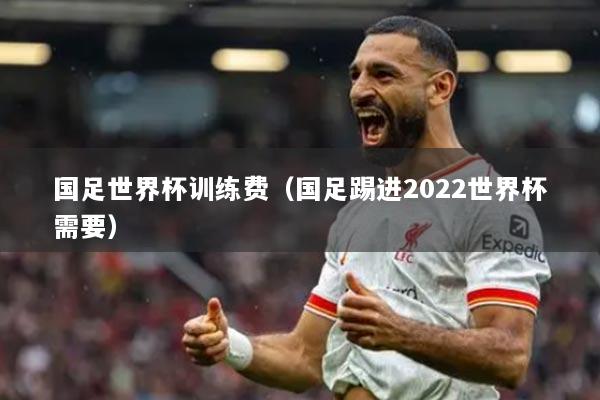 国足世界杯训练费（国足踢进2022世界杯需要）