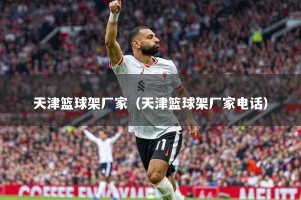 天津篮球架厂家（天津篮球架厂家电话）