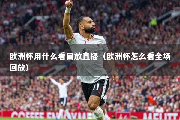 欧洲杯用什么看回放直播（欧洲杯怎么看全场回放）