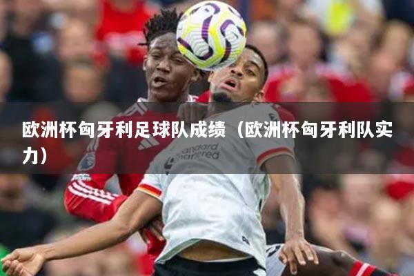 欧洲杯匈牙利足球队成绩（欧洲杯匈牙利队实力）