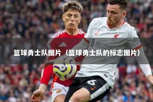 篮球勇士队图片（篮球勇士队的标志图片）