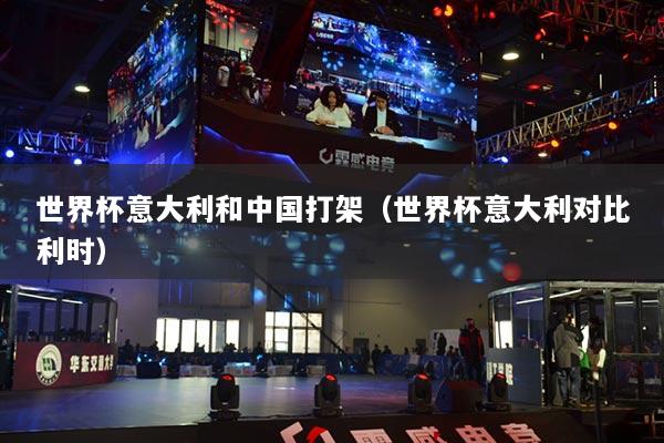 世界杯意大利和中国打架（世界杯意大利对比利时）