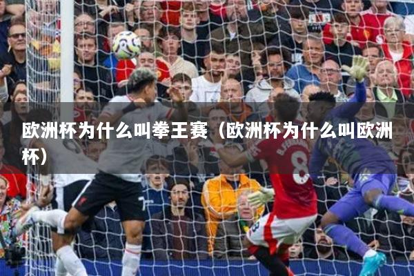 欧洲杯为什么叫拳王赛（欧洲杯为什么叫欧洲杯）