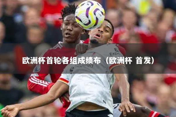 欧洲杯首轮各组成绩布(欧洲杯 首发)