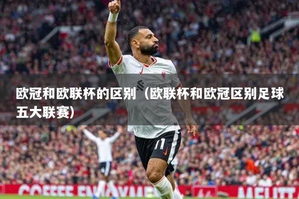 欧冠和欧联杯的区别(欧联杯和欧冠区别足球五大联赛)