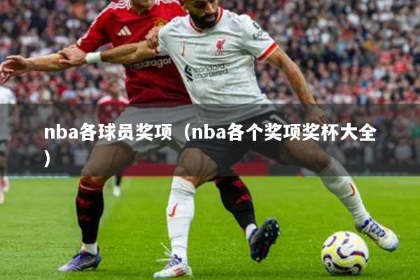 nba各球员奖项(nba各个奖项奖杯大全)