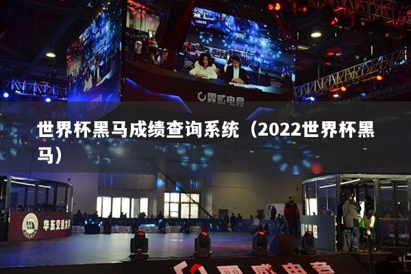 世界杯黑马成绩查询系统(2022世界杯黑马)