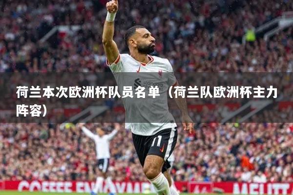荷兰本次欧洲杯队员名单(荷兰队欧洲杯主力阵容)