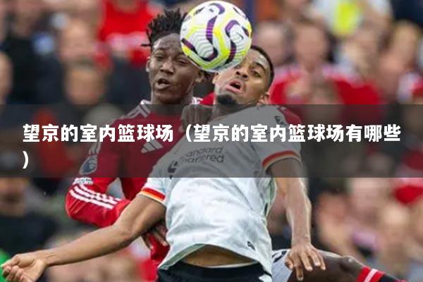 望京的室内篮球场(望京的室内篮球场有哪些)