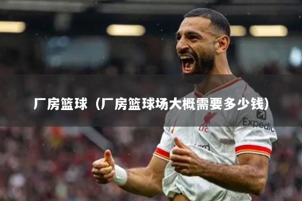 厂房篮球（厂房篮球场大概需要多少钱）