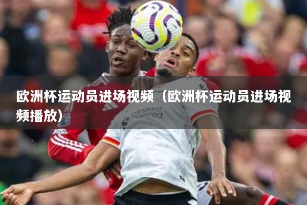 欧洲杯运动员进场视频(欧洲杯运动员进场视频播放)