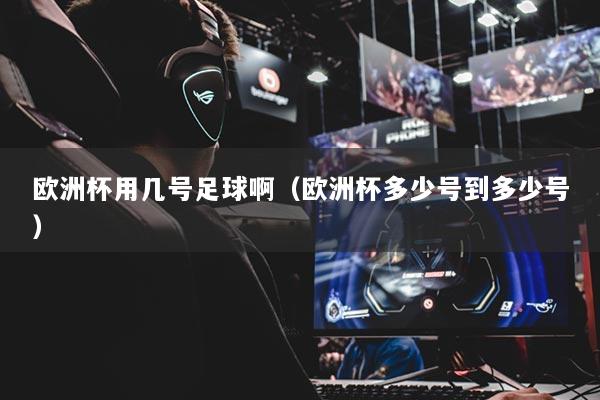 欧洲杯用几号足球啊(欧洲杯多少号到多少号)