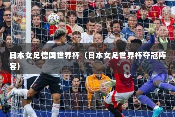 日本女足德国世界杯(日本女足世界杯夺冠阵容)