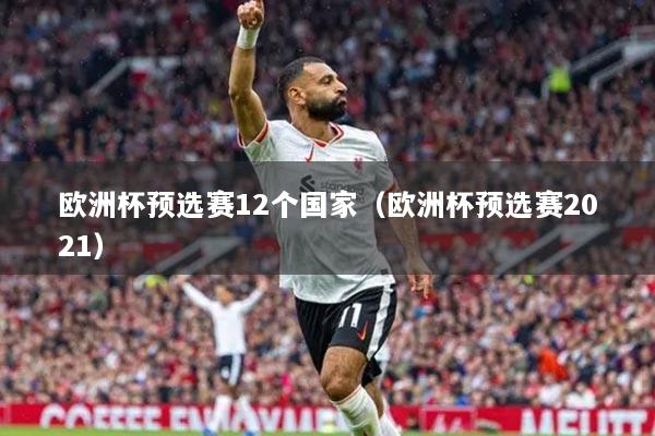 欧洲杯预选赛12个国家（欧洲杯预选赛2021）