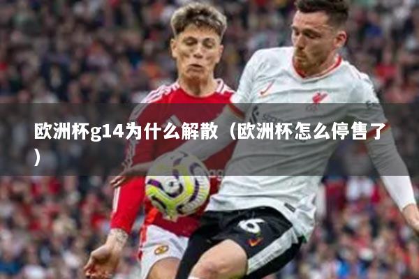 欧洲杯g14为什么解散(欧洲杯怎么停售了)