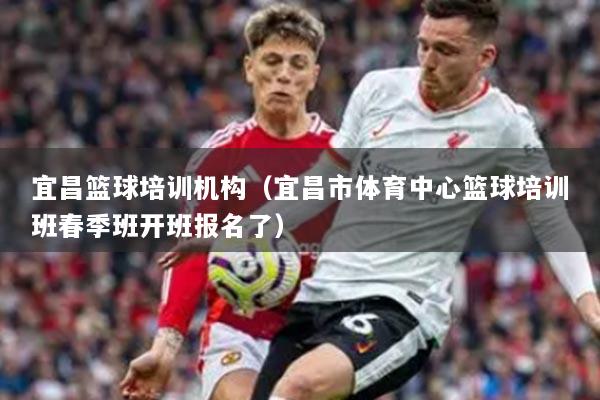 宜昌篮球培训机构(宜昌市体育中心篮球培训班春季班开班报名了)