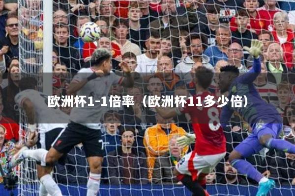 欧洲杯1-1倍率(欧洲杯11多少倍)