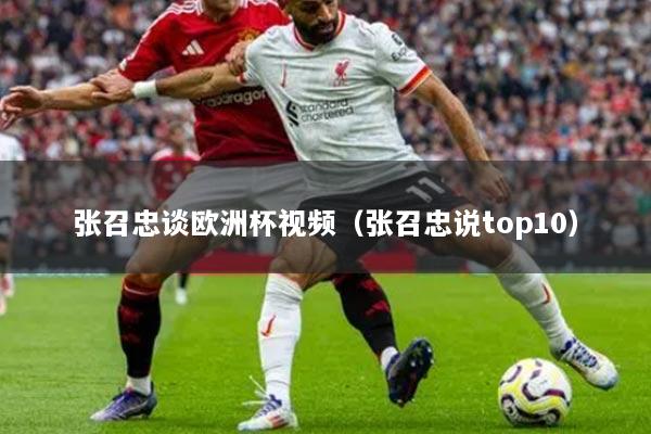 张召忠谈欧洲杯视频(张召忠说top10)