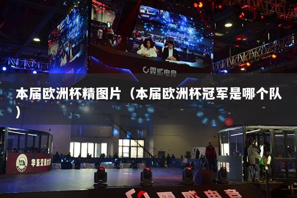 本届欧洲杯精图片（本届欧洲杯冠军是哪个队）