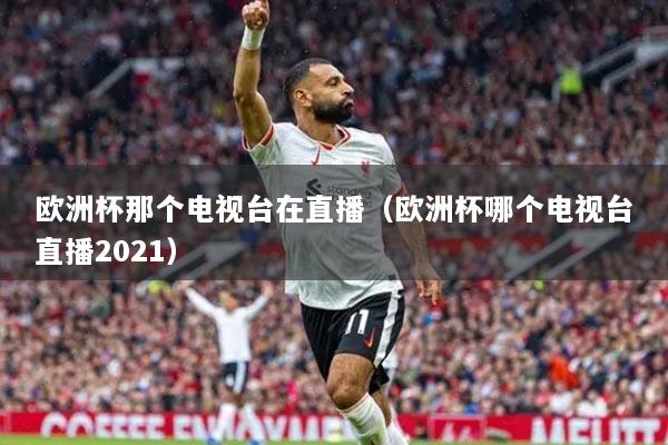 欧洲杯那个电视台在直播（欧洲杯哪个电视台直播2021）