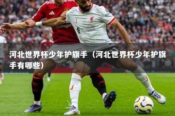 河北世界杯少年护旗手（河北世界杯少年护旗手有哪些）