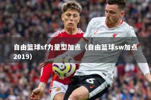 自由篮球sf力量型加点（自由篮球sw加点2019）
