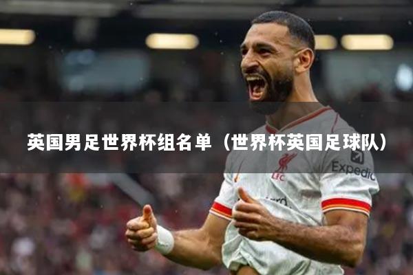 英国男足世界杯组名单（世界杯英国足球队）