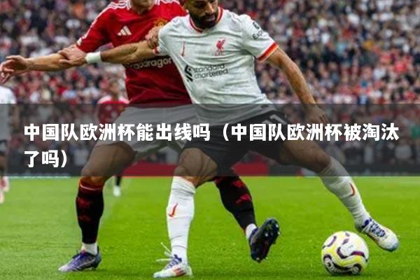 中国队欧洲杯能出线吗（中国队欧洲杯被淘汰了吗）