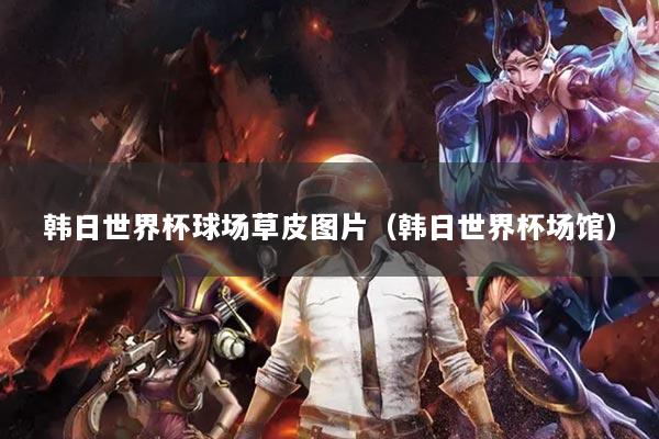 韩日世界杯球场草皮图片（韩日世界杯场馆）