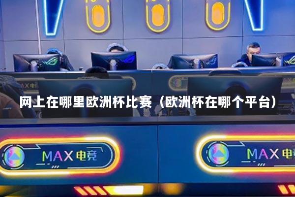 网上在哪里欧洲杯比赛（欧洲杯在哪个平台）