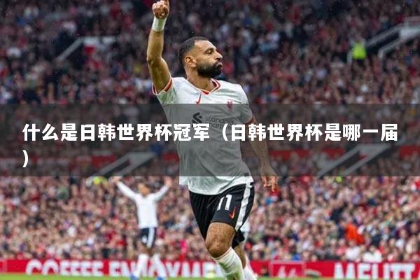 什么是日韩世界杯冠军（日韩世界杯是哪一届）