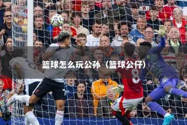 篮球怎么玩公孙（篮球公仔）