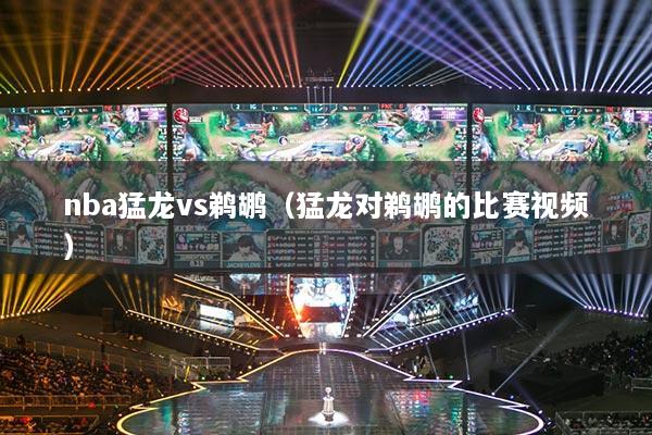 nba猛龙vs鹈鹕（猛龙对鹈鹕的比赛视频）