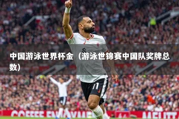 中国游泳世界杯金（游泳世锦赛中国队奖牌总数）
