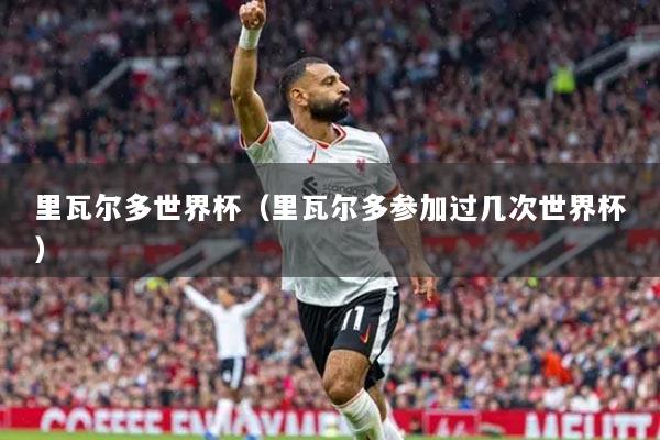里瓦尔多世界杯（里瓦尔多参加过几次世界杯）