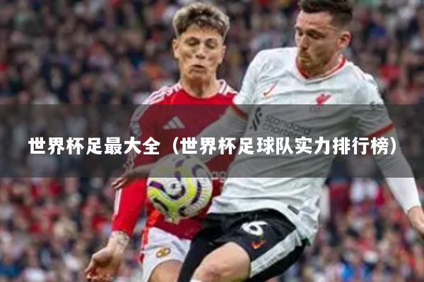 世界杯足最大全（世界杯足球队实力排行榜）