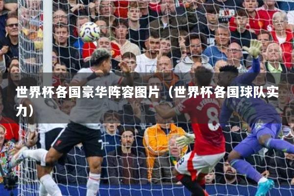 世界杯各国豪华阵容图片（世界杯各国球队实力）