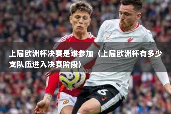 上届欧洲杯决赛是谁参加（上届欧洲杯有多少支队伍进入决赛阶段）