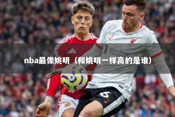 nba最像姚明（和姚明一样高的是谁）