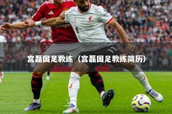 宫磊国足教练（宫磊国足教练简历）