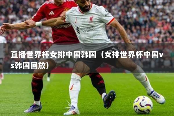 直播世界杯女排中国韩国（女排世界杯中国vs韩国回放）