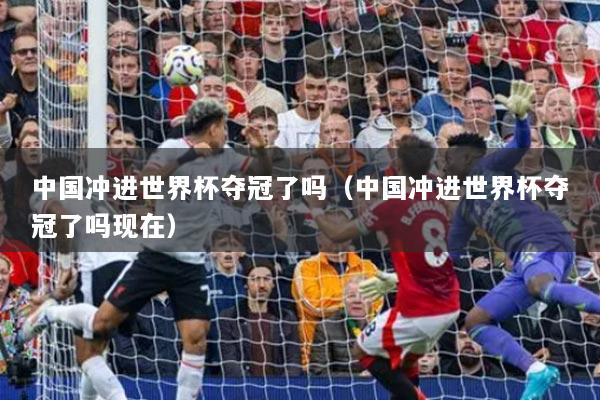 中国冲进世界杯夺冠了吗（中国冲进世界杯夺冠了吗现在）