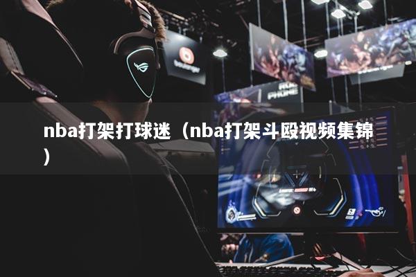 nba打架打球迷（nba打架斗殴视频集锦）