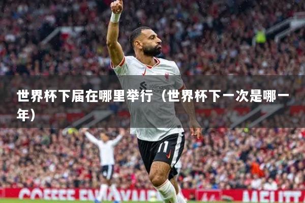 世界杯下届在哪里举行（世界杯下一次是哪一年）