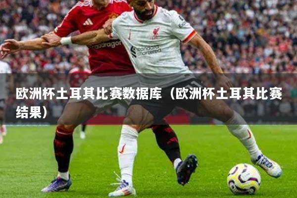 欧洲杯土耳其比赛数据库（欧洲杯土耳其比赛结果）
