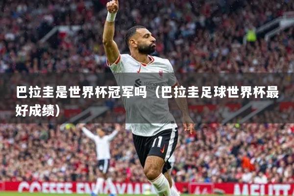 巴拉圭是世界杯冠军吗（巴拉圭足球世界杯最好成绩）