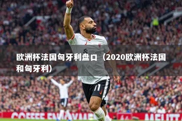 欧洲杯法国匈牙利盘口（2020欧洲杯法国和匈牙利）