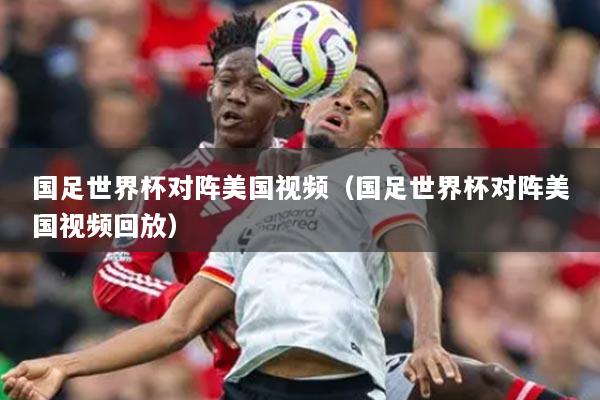 国足世界杯对阵美国视频（国足世界杯对阵美国视频回放）