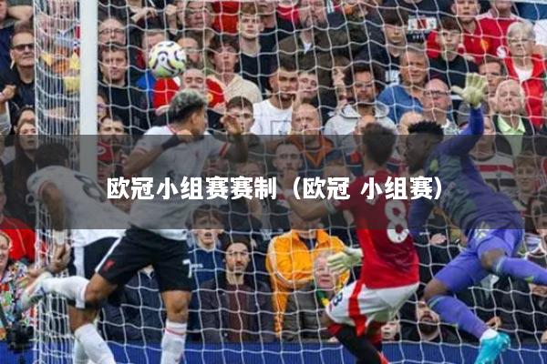 欧冠小组赛赛制（欧冠 小组赛）